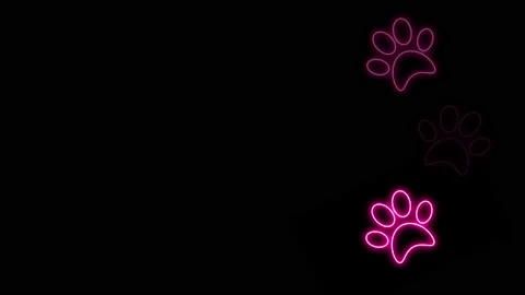Neon Footprint 2 Stock Footage 169048411
