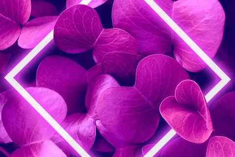 Neon frame tropical background Stock Photos