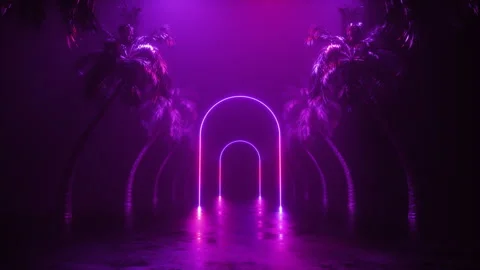 Neon Frames and Palm Trees Road Loop Stock Footage 247360158