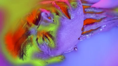 In the neon glow of different colors psychedelic art blue, turquoise, purple Stock-Footage 221414069