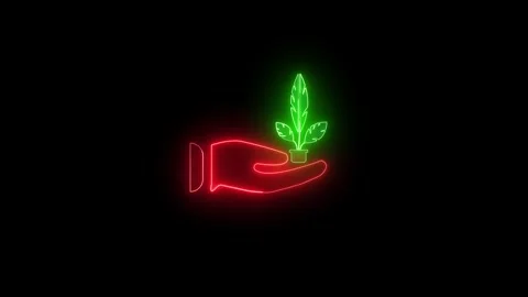 Neon Glow: Hand with Tree Growing Icon Animation – 4K Nature Growth Motion. Stock Footage 286145119
