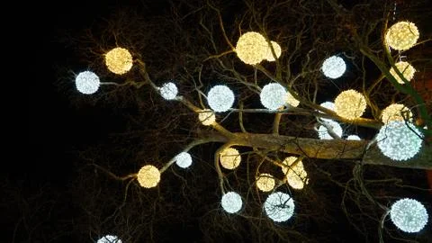 Neon, glowing balls on a tree Stock Photos