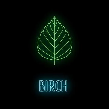 Neon glowing birch leaf icon on black background Stock Illustration