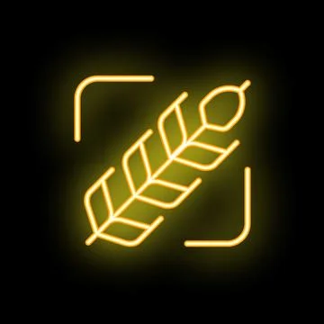 Neon glowing icon of wheat ear in frame on black background Stock Illustration
