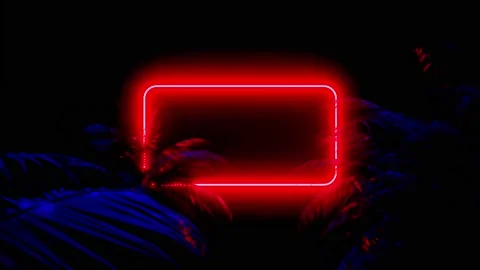 Neon Glowing Rectangle Frame Appears In The Tropical Forest Animation. Stock Footage 206058765