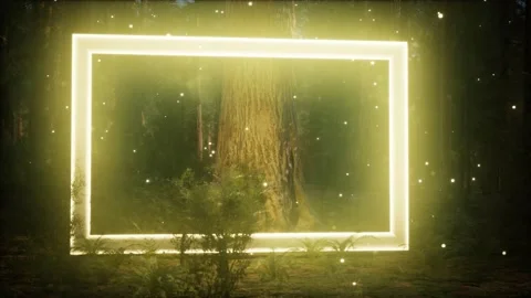 Neon glowing rectangle frame in the night forest Stock Footage 127685951