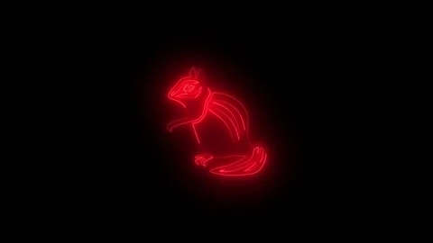 Neon glowing red chipmunk icon animation in black background Stockbeeldmateriaal 267079143