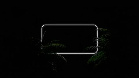 Neon Glowing White Rectangle Frame Appears In The Tropical Forest Animation. Stock Footage 206058654