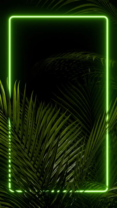 Neon green frame surrounded by tropical palm leaves, seamless loop Stock Footage 335944311