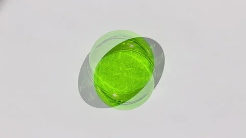 Neon Green Sphere Light Study of Geometric Objects Stock Footage 305006256