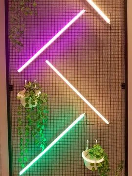Neon Grid with Hanging Plants Stock Photos