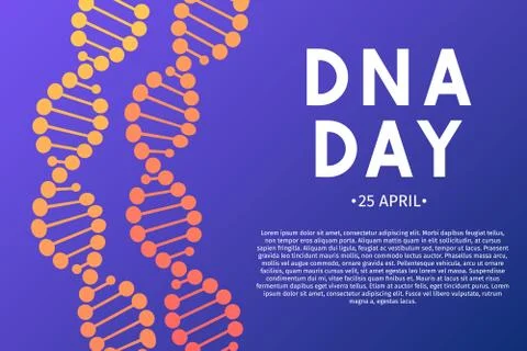 Neon helix of human DNA molecule. DNA day typography poster. Science concept  Illustrazione stock