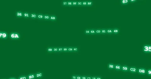 Neon hex bytes appearing from corners moving blooming rotating showing data Stock Footage 329503161