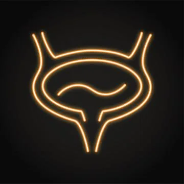 Neon human bladder icon in line style Illustrazione stock