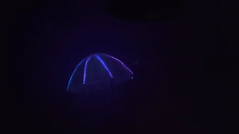 Neon jellyfish dancing at the rave Stock Footage 117878680