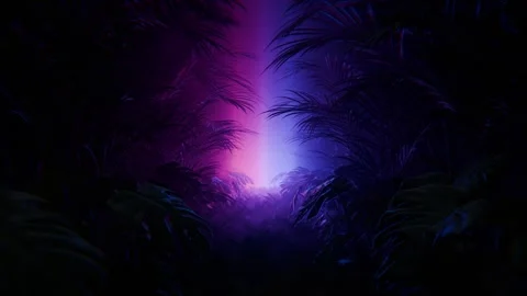 Neon Jungle Stock Footage 341479988