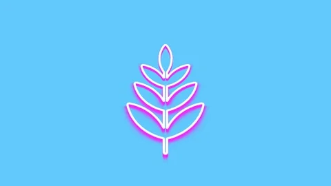 Neon leaf animation glowing on blue background with vibrant pink light moti.. Stock Footage 341228855