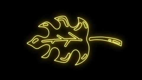 Neon Leaf 스톡 동영상 255234501