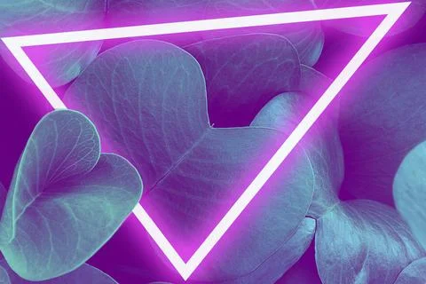 Neon leaves with triangle frame Stock Photos