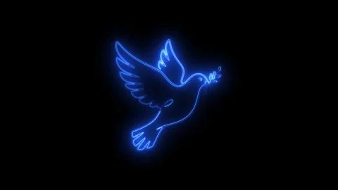 Neon light dove flying in dark background with glowing blue outline Stock Footage 345833847