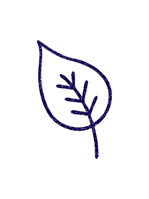 Neon light effect animation of Old Leaf Charcoal Drawing Stock Footage 324365238