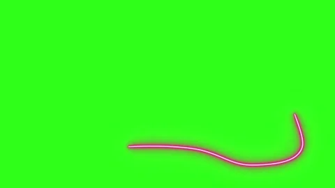 Neon light effect line design animation on green screen Stock-Footage 333683283