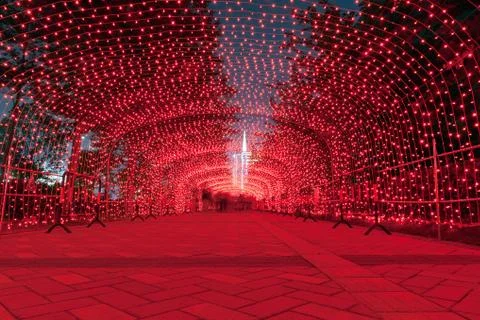 Neon light over the ground Stock Photos