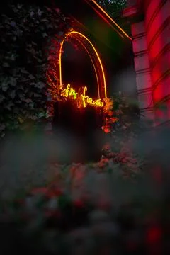 Neon Light Tubes Lighting Up a Window Foto stock