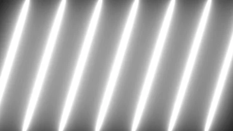 Neon lines black white background Stock Footage 172549754