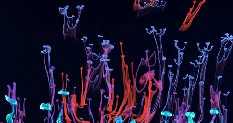 Neon Liquid Pink Stock Footage 124993674