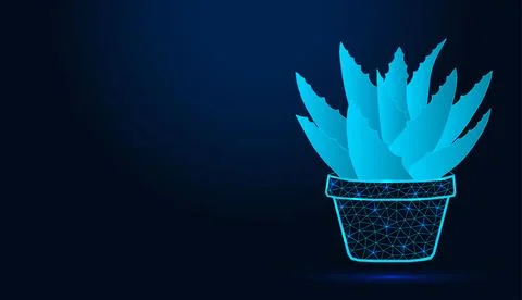Neon low poly wireframe aloe vera plant in pot on dark blue background. Stock Illustration