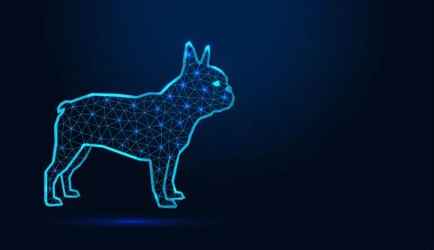 Neon low poly wireframe french bulldog dog standing profile on dark blue backgro Stock Illustration