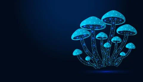 Neon low poly wireframe glowing mushrooms cluster on dark blue background. Stock Illustration