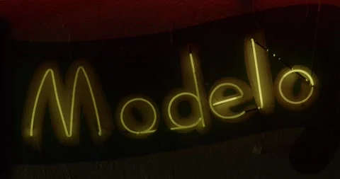 Neon Modelo Stock Footage 292724503