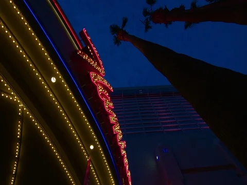 Neon multi coloured sign that reads flamingo Stock Footage 84900720