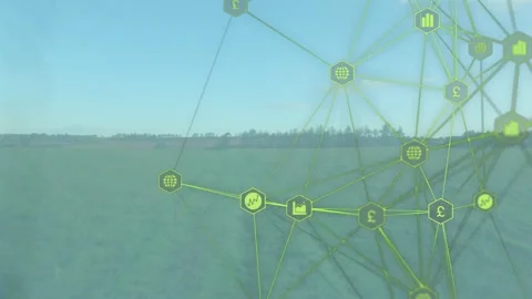 Neon network appearing right, expanding left, lighting hex nodes, showing Stock Footage 334242410
