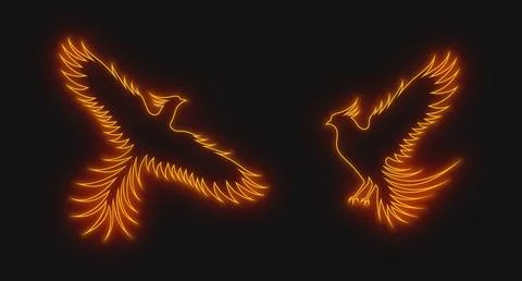 A neon outline of red orange phoenix with wings, isolated on the dark background Stock Illustration