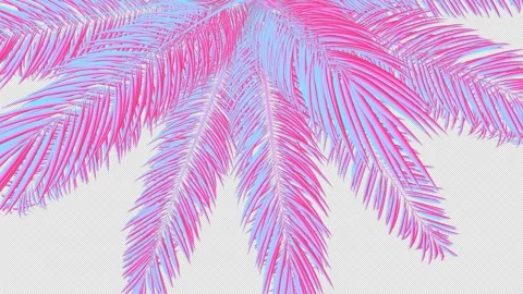 Neon Palm Leaves Stock Footage 309103329