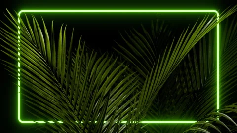 Neon palm leaves frame a glowing green rectangle in a seamless loop Video stock 335020233