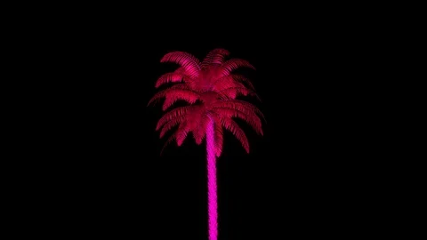 Neon Palm Tree Single Rotating Seamless Loop Stock Footage 122316133