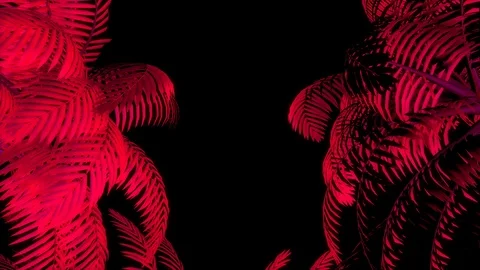 Neon Palm Trees Sides Rotating VJ Loop Stock Footage 122315837