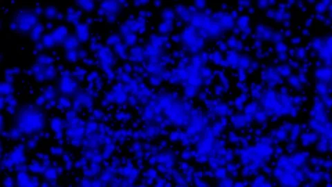 Neon Particle Rain Background Stock Footage 309515315