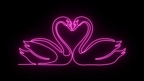 Neon Pink Continuous Line Art of Two Swans Forming Heart Animation Stock Footage 318200633