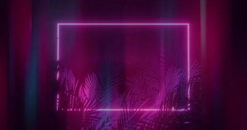Neon pink rectangular frame glowing against purple-magenta gradient, palm Video stock 307463082