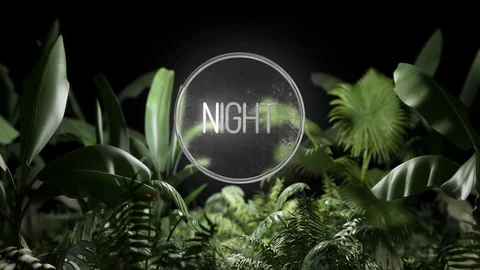 Neon Plants 库存 After Effects