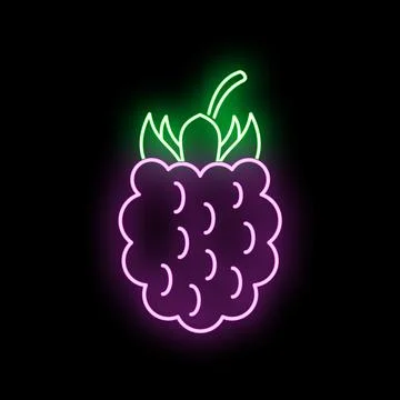 Neon raspberry berry glowing icon on black background Stock Illustration