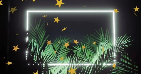 Neon rectangle appearing, palm fronds emerging, golden stars swirling and Stock Footage 321162275
