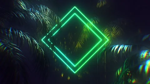 Neon Rectangle Shape Surrounded By Palm Trees Stock-Footage 269563800