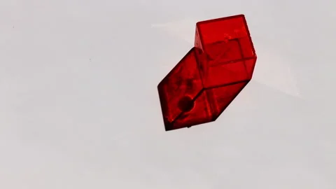 Neon Red Illuminated 3D Optical Square Cube with Moving Shadows Stock Footage 305012210