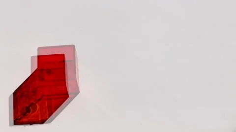 Neon Red Illuminated 3D Optical Cubes with Moving Shadows Stock Footage 305014025